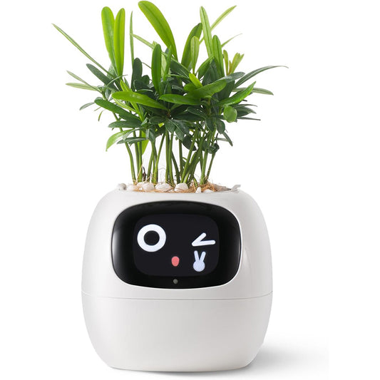 Smart Växtkruka – IVY Smart Pet Planter, Självvattnande Kruka & Automatisk Vattning
